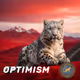 Snow Leopard - Optimism