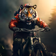 OP VTT