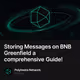 Storing Messages on BNB Greenfield a comprehensive  Guide!