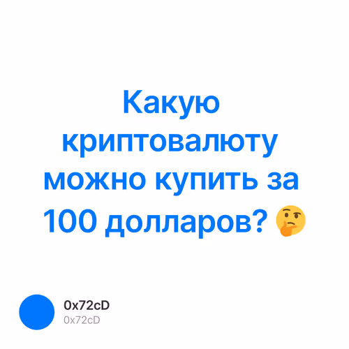 Какую криптовалюту можно купить за 100 долларов? 🤔