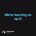 Mirror learning on op l2