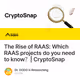The Rise of RAAS: Which RAAS projects do you need to know？| CryptoSnap