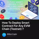How To Deploy Smart Contract For Any EVM Chain (Testnet) ?