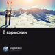 В гармонии