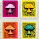 Shrooms : Side-Effects