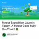 Forest Expedition Launch: Today, A Forest Goes Fully On-Chain! 🌳