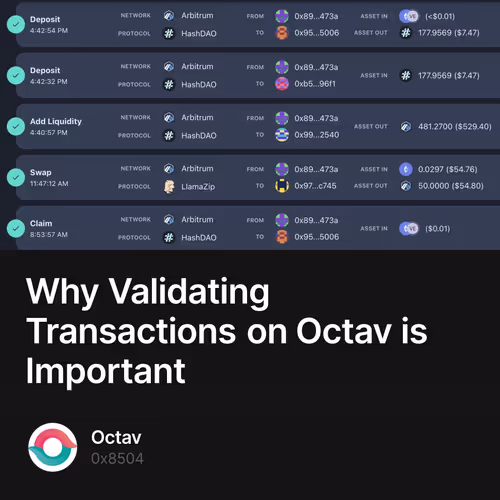 Why Validating Transactions on Octav is Important