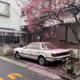 car in flowers