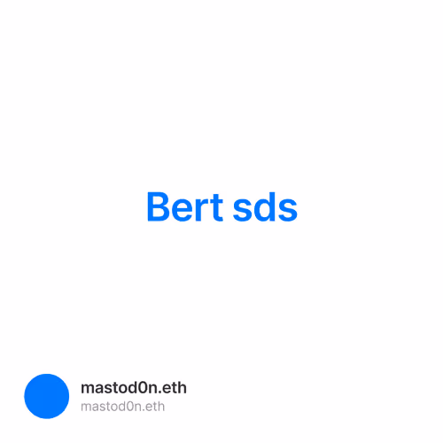 Bert sds