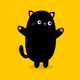CATSSS