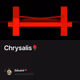 Chrysalis🌹