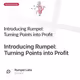 Introducing Rumpel: Turning Points into Profit