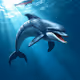 Dolphin Dynamo
