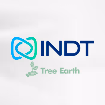 INDT- Tree Earth