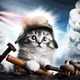 Warfare Cats