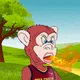 Bored monkey fan club