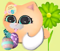 Lovable Kittens
