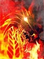 CannaDragons Alive