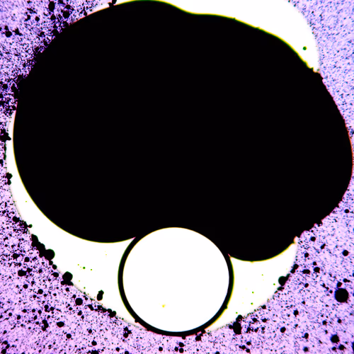 Everything Is Movement v2