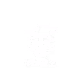Year Z