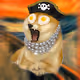 Museum of Doge