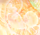 Memory of the Cell series