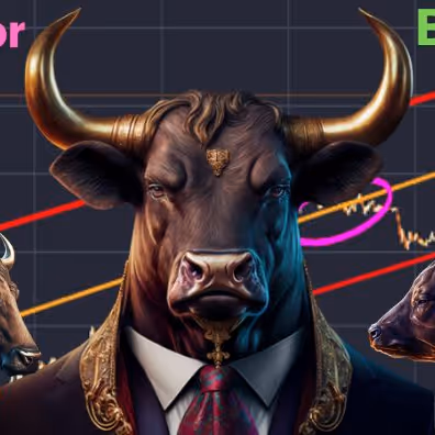 BullMarkeT Collection