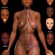 Human Body - Cuerpo Humano
