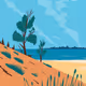 Landscapes-NFTs