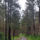 nature8