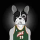 frankiethedog gang sportwear