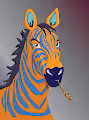 The Zebra Club