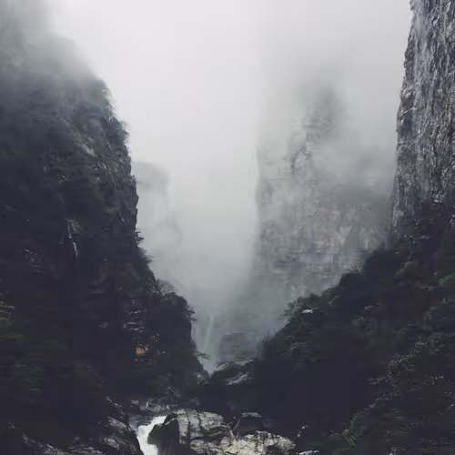 vsdfv