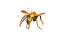 Minner Ant