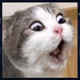 CatNausea