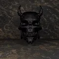 Mr.Skullz