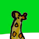 Zera Collection ART