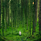 Lone Messenger In The Forest