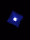 COLOR_NTT