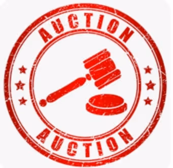 Auction  NFT