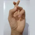 mrfingertips