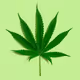 animated marijuana