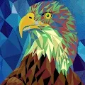 The Crypto Eagles