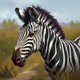 Zebrasss