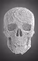 Generative Skulls