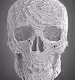 Generative Skulls