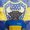 World FootBull Fans