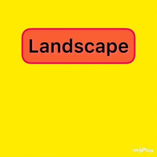 mylandscapecollection