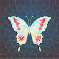 NesterFly