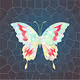 NesterFly